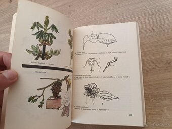 Učíme sa včelariť 1980 - 9