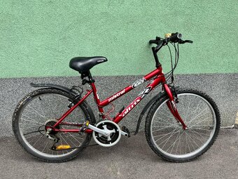 Pánsky a dámsky horský bicykel - 9