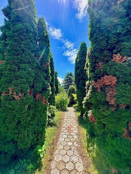 7-izb. Rodinný dom s bazénom na pozemku 5.100 m2 - 9