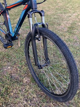 CTM Rein 1.0 29” - 9