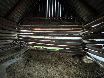 Stare drevo na predaj - 9