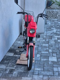 Manet korado - 9
