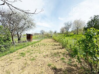 Vinohradnícky domček po reko aj s vinohradom, za Líštinami - 9