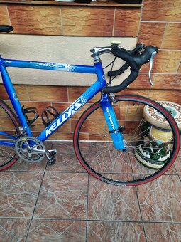 Vector R111 synchro cestný bicykel ,Kellys - 9