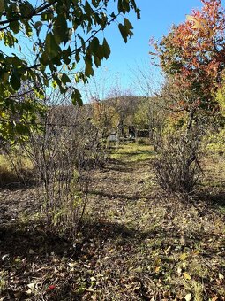 VÝRAZNE ZNÍŽENÁ CENA _ Záhrada 700m2_Predaj_ Račianska - 9