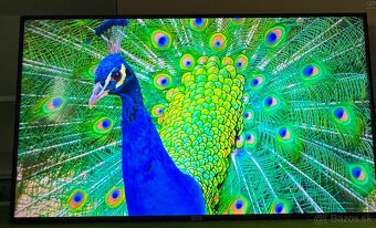 Predám TCL 65DP600 65” 4K ULTRA HD - 9