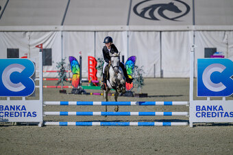 Pony do sportu i pro děti - 9
