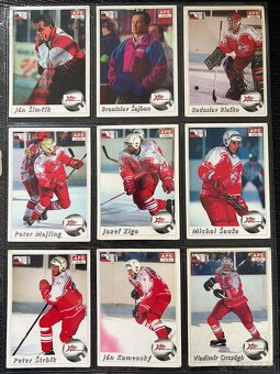 APS karty hokej 95/96 - 9