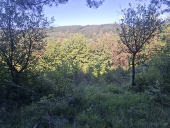 IBA U NÁS Pozemok 1,8 ha na okraji Púchova, Vieska-Bezdedov - 9