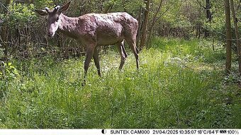 Hc 900m fotopasca - 9