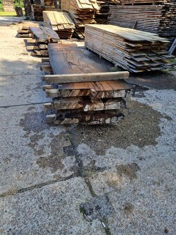 Dub bahenny, mooreiche, dub subfosilny - 9