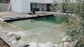 Tuja Smaragd, vavrínovec, červienka, gaštan - Prešov - 9