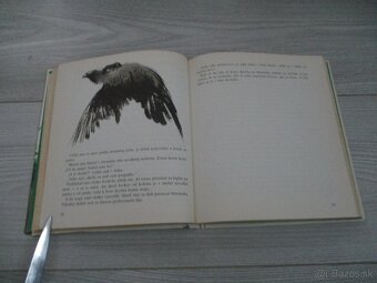 Z poľovníckej kapsy - 9