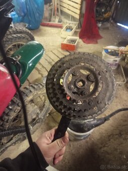 Vedora Camouflage 2019 - 9