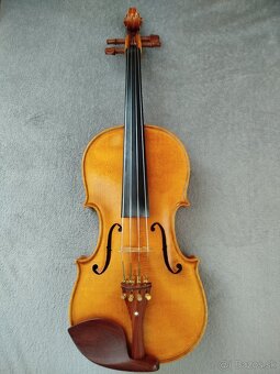 Viola - 9