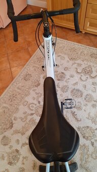 MERIDA + Thule 591 ProRide. - 9