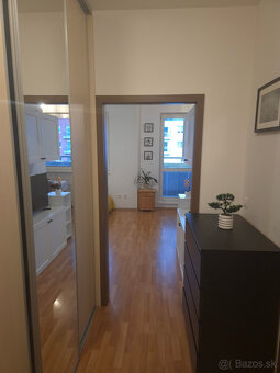 Útulný 1-izbový byt s krásnym výhľadom na Kamzík - 9