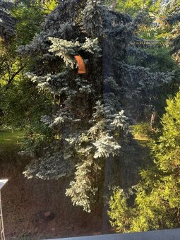 Pekne zariadený 3-izbový byt v centre Ružinova - 9