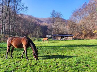 ŠUGOV-ŠUGOVSKÁ DOLINA, INVESTIČNÝ veľkorysý pozemok 3716 m2. - 9