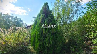 HALO reality - Predaj, záhradná chata Žilina - 9