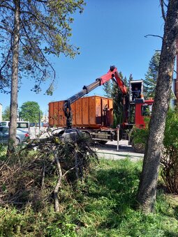 Výrub a opilovanie stromov LACNO A BEZPEČNE - 9