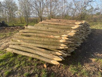 Predám agátové koly,stĺpy,rezivo,dosky. Doprava celá SR. - 9