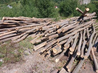 buková guľatina - vláknina, palivové drevo - 9