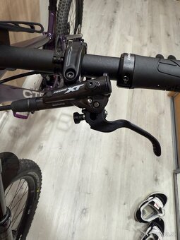 CTM SCROLL PRO 2025 - 9