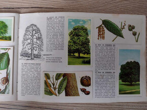 Predám britské albumy s nálepkami - 9