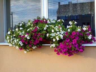 Držák květinových truhlíků BV - Instalace bez vrtání - 9