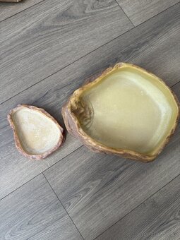 veci po chove agamy bradatej - 9