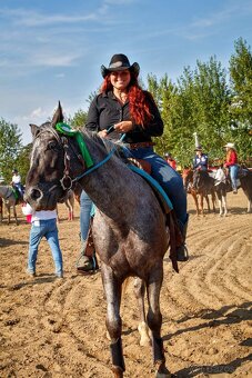 Appaloosa pripúšťanie - 9