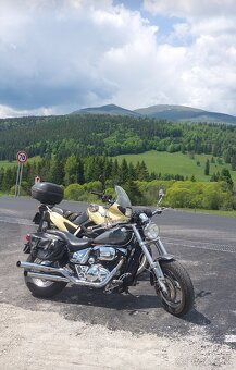 Suzuki Marauder 800 - 9