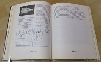 Encyklopédia muškárenia - 9