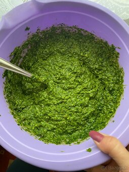 Pesto MEDVEDÍ CESNAK 2025 - 9