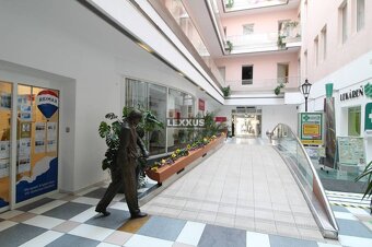 | pekná zariadená kancelária, recepcia, BA - Staré Mesto - 9