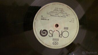 Rezervované  Staré LP platne na gramofon 33 a 45 - 9