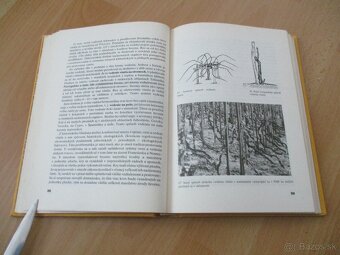 Rez a vedenie viniča - 9