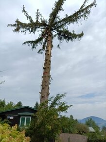 Výškové práce: orezavanie výrub stromov,montážne - 9