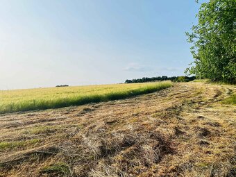 Na predaj veľký pozemok s rodinným domom, 583.292 m2, obec N - 9