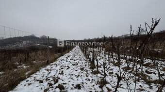 REZERVOVANÉ - Vinohrad 1862 m², v meste Pezinok + 3D - 9