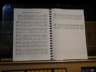 Jednoduchý liturgický spevník - Komplet - 9