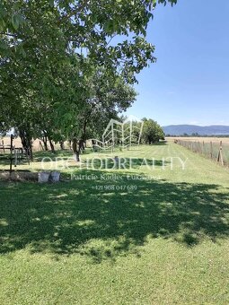 Pozemok so záhradou a ovocným sadou - Nižný Hrušov - 9