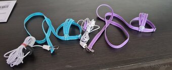 Traky pre papagáje, kšíry, popruhy - 9