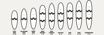 surfboard, surfing, Longboard 9'0 a Malibu 7'6 - 9