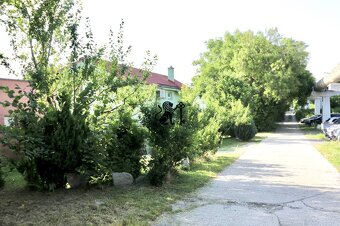 Záhrada s výborným prístupom od hlavnej cesty, blízko lodeni - 9