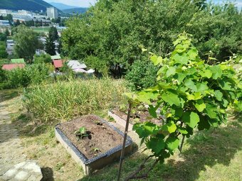 Záhrada s chatkou. Kalsove PB - 9