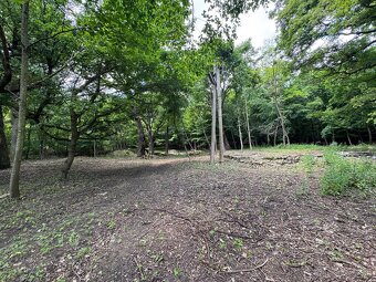 Hatfa - bývale kúpele v obci Viničky - 9