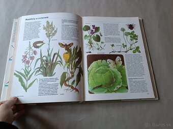 Pestrá priroda - 9