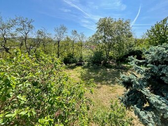 Dom vo vynikajúcej lokalite Čermáň, 8 izieb, pozemok 1490 m2 - 9